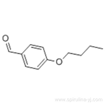 4-Butoxybenzaldehyde CAS 5736-88-9